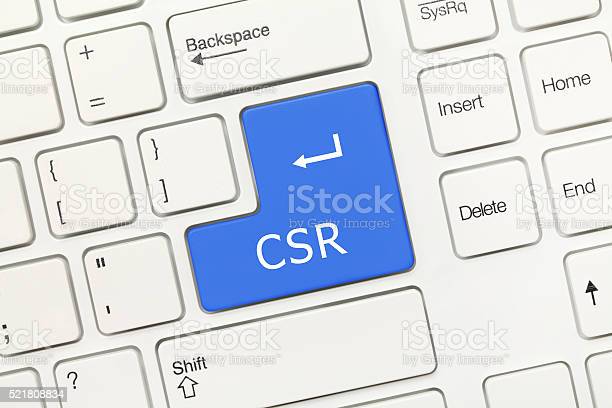 THE DYNAMICS OF CHANGING CSR LAWS